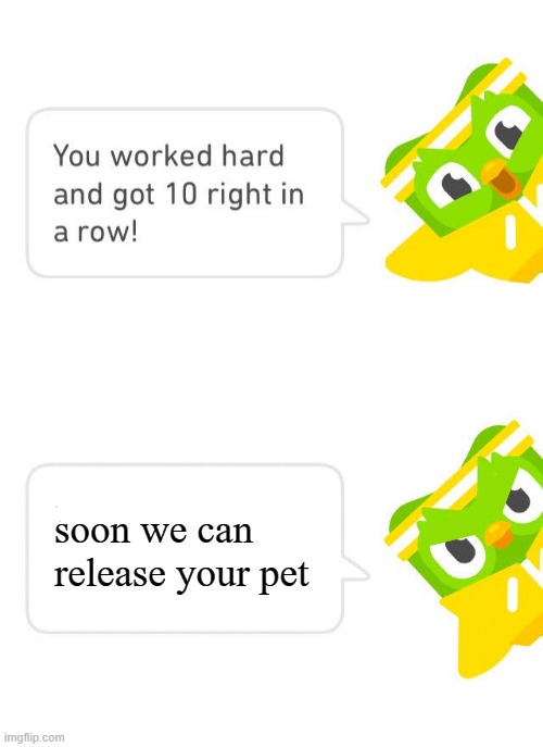 Duolingo 10 in a Row | soon we can release your pet | image tagged in duolingo 10 in a row | made w/ Imgflip meme maker