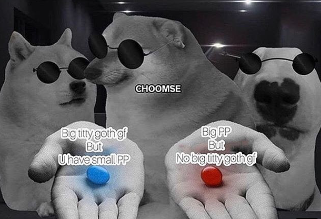 High Quality doge choomse Blank Meme Template