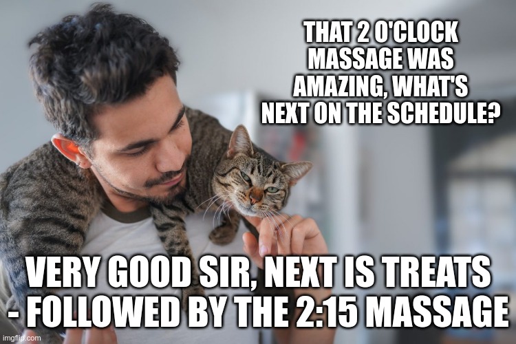 We aren't owners - we're staff | THAT 2 O'CLOCK MASSAGE WAS AMAZING, WHAT'S NEXT ON THE SCHEDULE? VERY GOOD SIR, NEXT IS TREATS - FOLLOWED BY THE 2:15 MASSAGE | image tagged in cats | made w/ Imgflip meme maker