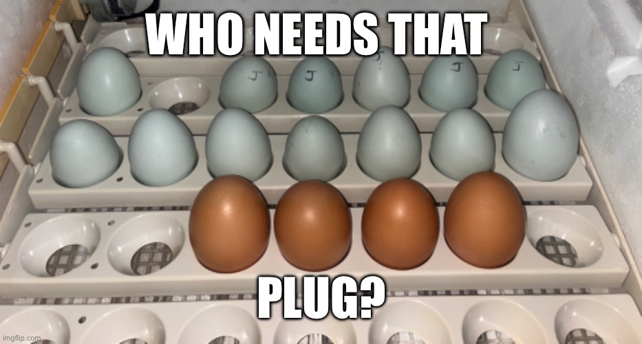 Egg Sales are up!!! | WHO NEEDS THAT; PLUG? | image tagged in eggs,farmers,sales,hustle | made w/ Imgflip meme maker