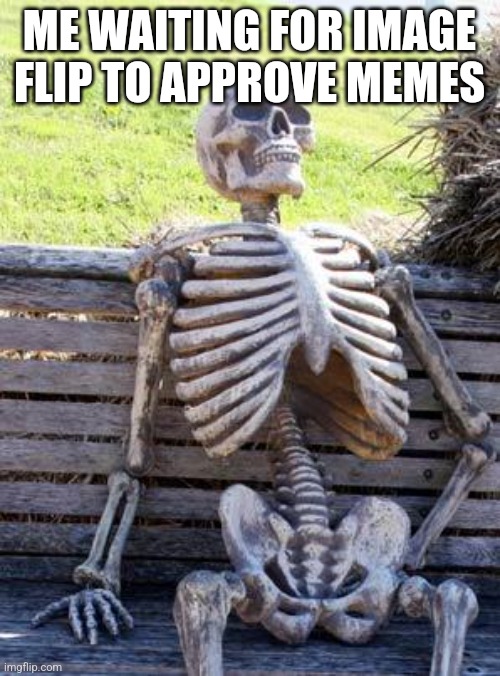 It does take awhile | ME WAITING FOR IMAGE FLIP TO APPROVE MEMES | image tagged in memes,waiting skeleton | made w/ Imgflip meme maker