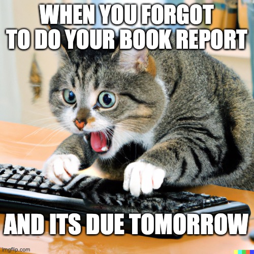 When you forget... | WHEN YOU FORGOT TO DO YOUR BOOK REPORT; AND ITS DUE TOMORROW | image tagged in scared cat,ahh | made w/ Imgflip meme maker