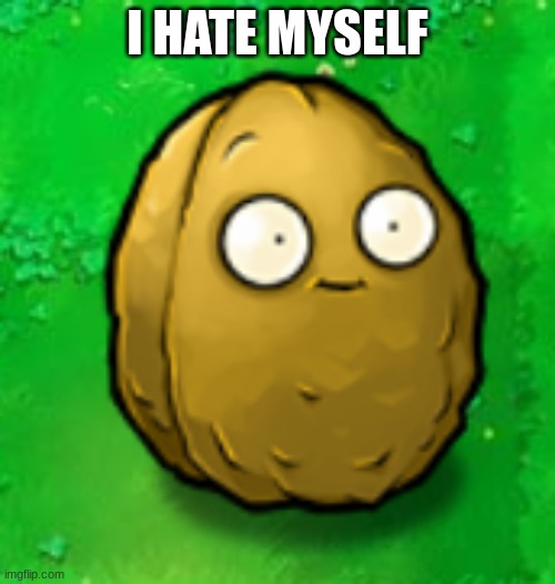 Wall-Nut | I HATE MYSELF | image tagged in wall-nut | made w/ Imgflip meme maker