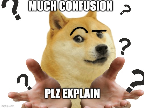 counfused doge Blank Meme Template