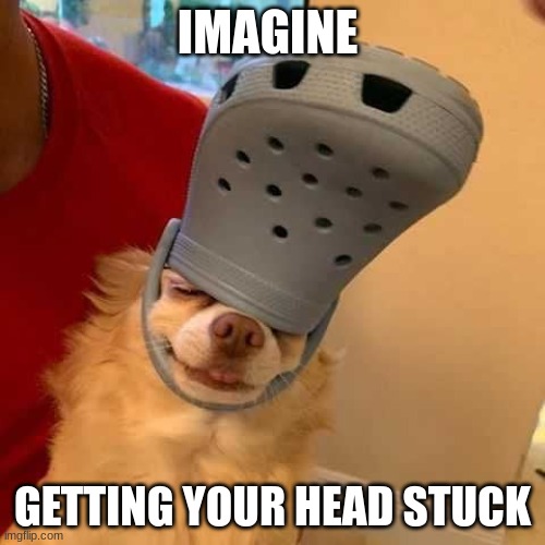 IMAGINE; GETTING YOUR HEAD STUCK | made w/ Imgflip meme maker