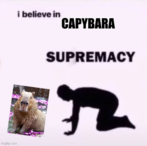I believe in supremacy | CAPYBARA | image tagged in i believe in supremacy | made w/ Imgflip meme maker