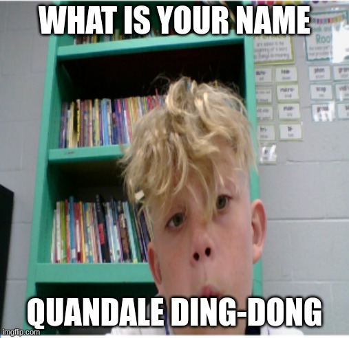 WHAT IS YOUR NAME; QUANDALE DING-DONG | made w/ Imgflip meme maker