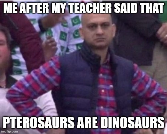 Upset | ME AFTER MY TEACHER SAID THAT; PTEROSAURS ARE DINOSAURS | image tagged in upset,pteraosaurs,dinosaurs,education,stupid people | made w/ Imgflip meme maker