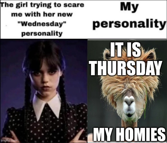 thursday | IT IS THURSDAY; MY HOMIES | image tagged in the girl trying to scare me with her new wednesday personality | made w/ Imgflip meme maker