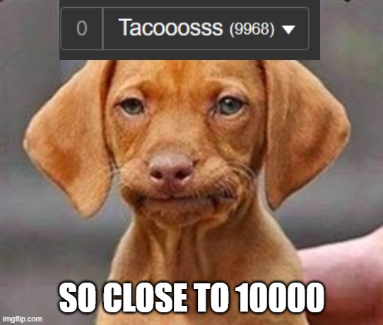 +32 | SO CLOSE TO 10000 | image tagged in frustrated dog | made w/ Imgflip meme maker