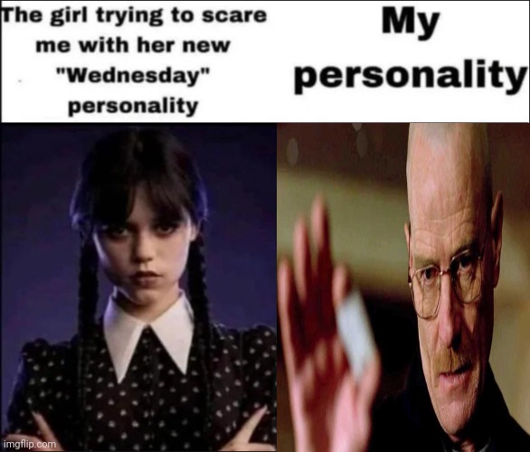 The girl trying to scare me with her new Wednesday personality | image tagged in the girl trying to scare me with her new wednesday personality | made w/ Imgflip meme maker