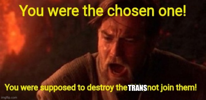 you were the chosen one | TRANS | image tagged in you were the chosen one | made w/ Imgflip meme maker
