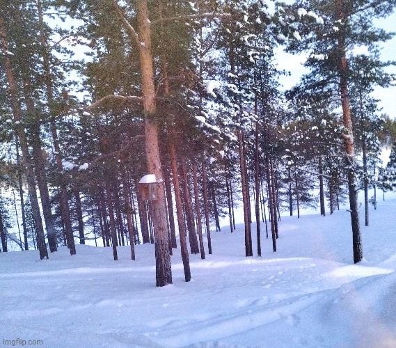 This is Finnish Lapland. <3 | made w/ Imgflip meme maker