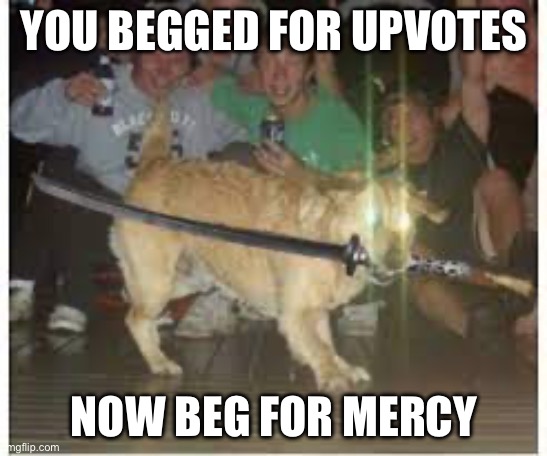 YOU BEGGED FOR UPVOTES NOW BEG FOR MERCY | image tagged in samurai dog | made w/ Imgflip meme maker