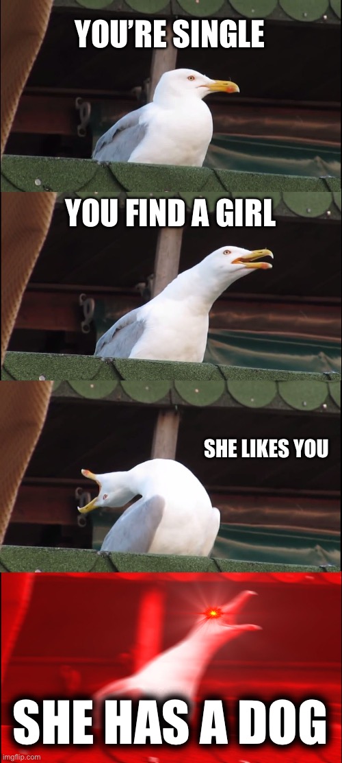 Wow | YOU’RE SINGLE; YOU FIND A GIRL; SHE LIKES YOU; SHE HAS A DOG | image tagged in memes,inhaling seagull | made w/ Imgflip meme maker