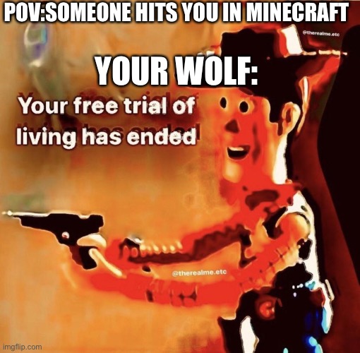Yes this is a title | POV:SOMEONE HITS YOU IN MINECRAFT; YOUR WOLF: | image tagged in yes this is a tag,your free trial of living has ended,minecraft,minecraft wolf | made w/ Imgflip meme maker