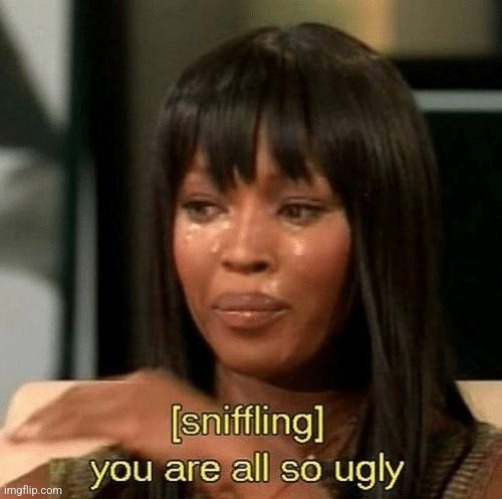 you are all so ugly | image tagged in you are all so ugly | made w/ Imgflip meme maker