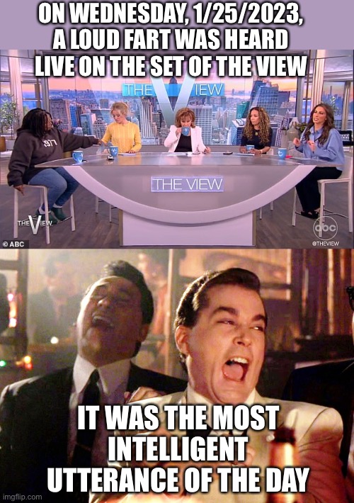 Those hosts are always talking out their asses. | ON WEDNESDAY, 1/25/2023, A LOUD FART WAS HEARD LIVE ON THE SET OF THE VIEW; IT WAS THE MOST INTELLIGENT UTTERANCE OF THE DAY | image tagged in the view,loud fart heard,most intelligent thing said all day | made w/ Imgflip meme maker