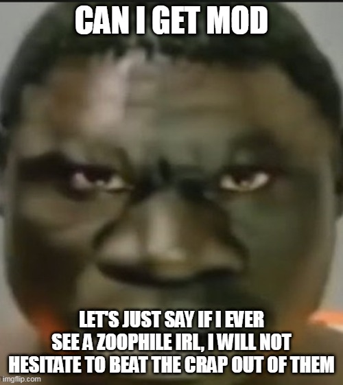 t | CAN I GET MOD; LET'S JUST SAY IF I EVER SEE A ZOOPHILE IRL, I WILL NOT HESITATE TO BEAT THE CRAP OUT OF THEM | image tagged in t | made w/ Imgflip meme maker