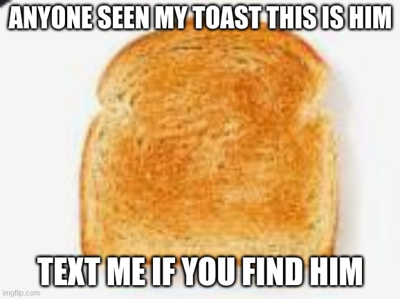 anyone seen it? | ANYONE SEEN MY TOAST THIS IS HIM; TEXT ME IF YOU FIND HIM | image tagged in toast,funny memes,fun | made w/ Imgflip meme maker