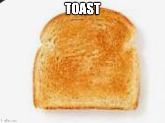 toast | TOAST | image tagged in toast,fun,funny memes | made w/ Imgflip meme maker