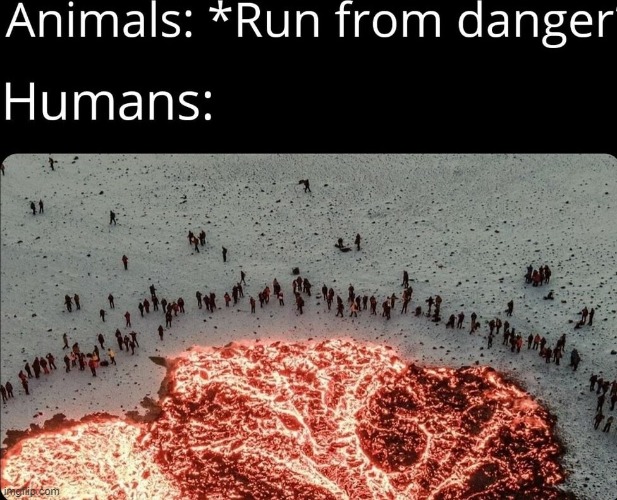 image tagged in repost | made w/ Imgflip meme maker
