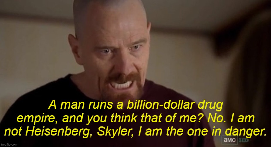 . | A man runs a billion-dollar drug empire, and you think that of me? No. I am not Heisenberg, Skyler, I am the one in danger. | image tagged in i am the one who knocks | made w/ Imgflip meme maker
