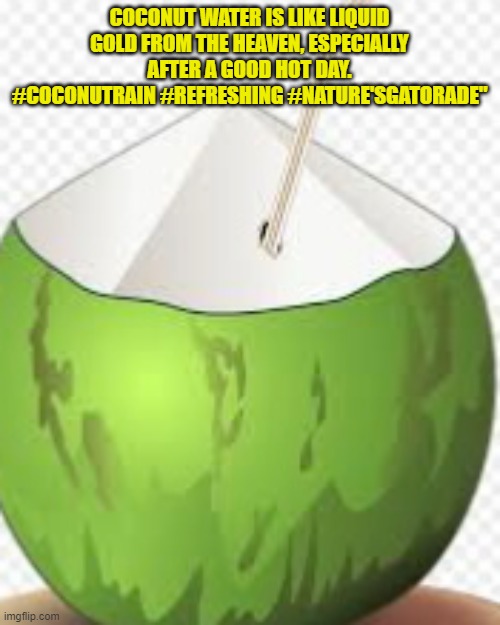 Coconut water | COCONUT WATER IS LIKE LIQUID GOLD FROM THE HEAVEN, ESPECIALLY AFTER A GOOD HOT DAY. #COCONUTRAIN #REFRESHING #NATURE'SGATORADE" | image tagged in coconut water | made w/ Imgflip meme maker