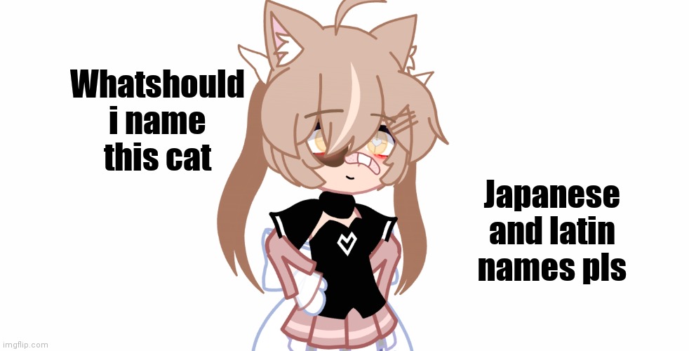 Hmmm | Japanese and latin names pls; Whatshould i name this cat | image tagged in gacha club,oh wow are you actually reading these tags,memes,name a character | made w/ Imgflip meme maker