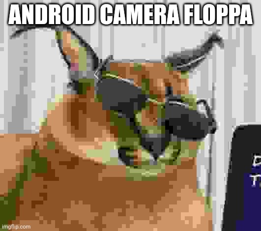 MR FLOPPPPAAA | ANDROID CAMERA FLOPPA | image tagged in mr floppppaaa | made w/ Imgflip meme maker