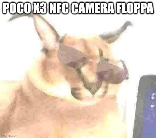 MR FLOPPPPAAA | POCO X3 NFC CAMERA FLOPPA | image tagged in mr floppppaaa | made w/ Imgflip meme maker