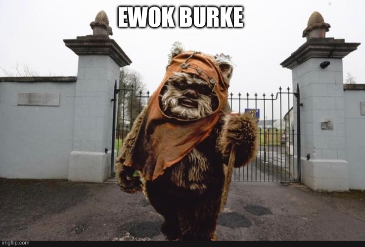 Ewok Burke | EWOK BURKE | image tagged in ireland | made w/ Imgflip meme maker