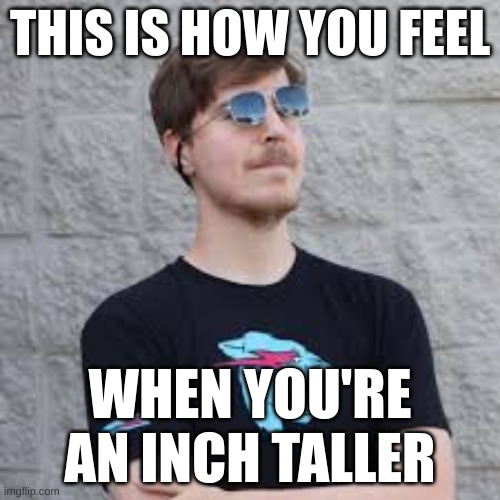 mrbeast | THIS IS HOW YOU FEEL; WHEN YOU'RE AN INCH TALLER | image tagged in mrbeast | made w/ Imgflip meme maker