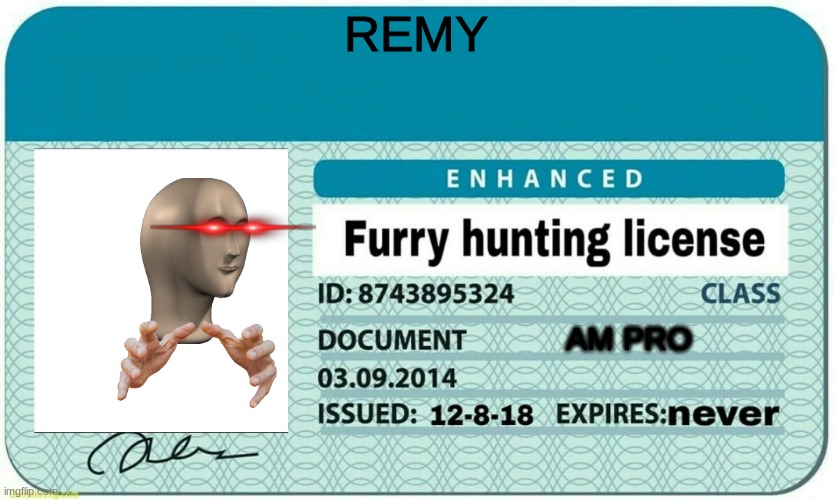 furry hunting license | REMY AM PRO | image tagged in furry hunting license | made w/ Imgflip meme maker