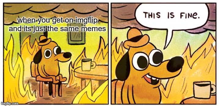 getting on imgflip the next day be like | when you get on imgflip and its just the same memes | image tagged in memes,this is fine | made w/ Imgflip meme maker