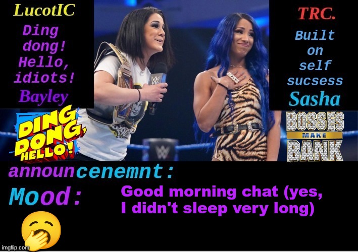 good morning | Good morning chat (yes, I didn't sleep very long); 🥱 | image tagged in lucotic and trc boss 'n' hug connection duo announcement temp | made w/ Imgflip meme maker