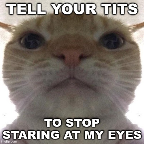 Staring Cat/Gusic | TELL YOUR TITS; TO STOP STARING AT MY EYES | image tagged in staring cat/gusic | made w/ Imgflip meme maker