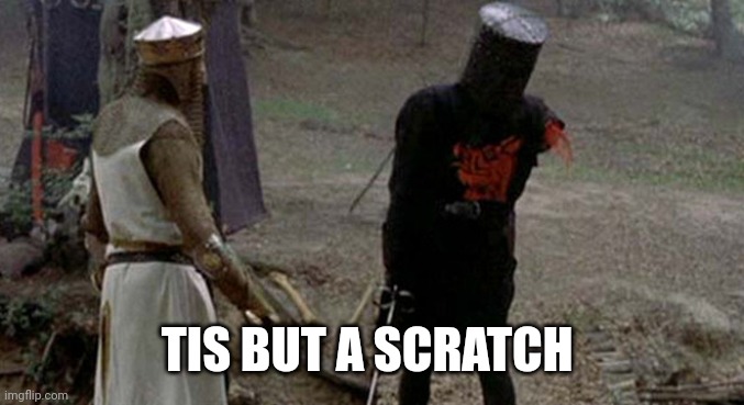 Tis but a scratch | TIS BUT A SCRATCH | image tagged in tis but a scratch | made w/ Imgflip meme maker