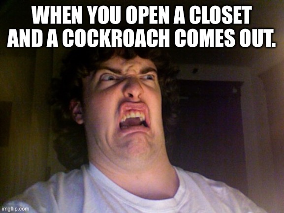 They are EVERYWHERE! | WHEN YOU OPEN A CLOSET AND A COCKROACH COMES OUT. | image tagged in memes,oh no | made w/ Imgflip meme maker