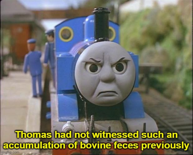 Angry Thomas | image tagged in angry thomas | made w/ Imgflip meme maker