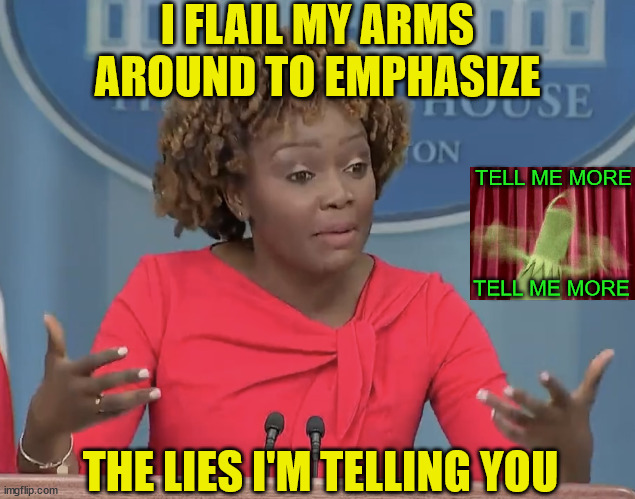 Tell Me Lies Tell Me Sweet Little Lies, Tell Me Tell Me Lies | I FLAIL MY ARMS AROUND TO EMPHASIZE; TELL ME MORE; TELL ME MORE; THE LIES I'M TELLING YOU | image tagged in memes,kermit the frog,aint nobody got time for that,first world problems,maury lie detector,so you're telling me | made w/ Imgflip meme maker