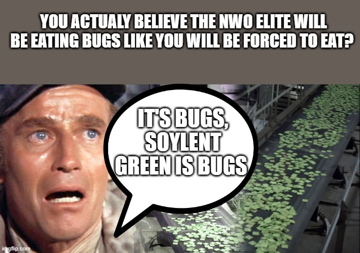 You voted for um.. | YOU ACTUALY BELIEVE THE NWO ELITE WILL BE EATING BUGS LIKE YOU WILL BE FORCED TO EAT? IT'S BUGS, SOYLENT GREEN IS BUGS | image tagged in democrats,nwo | made w/ Imgflip meme maker