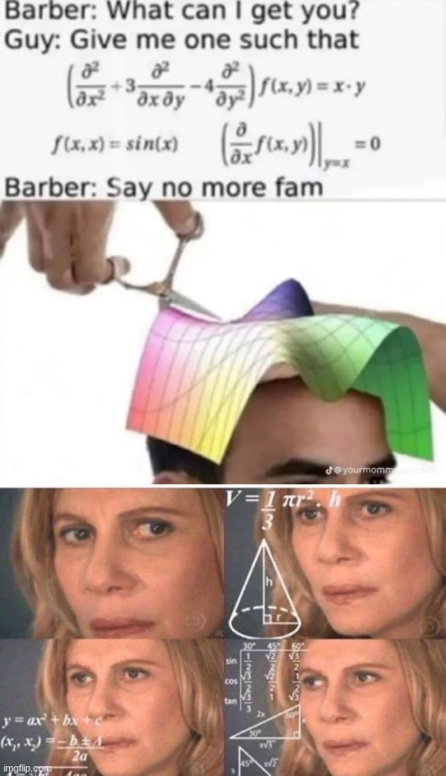 say no more fam | image tagged in math lady/confused lady | made w/ Imgflip meme maker