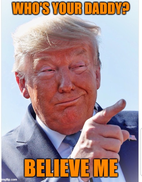 Trump pointing | WHO'S YOUR DADDY? BELIEVE ME | image tagged in trump pointing | made w/ Imgflip meme maker