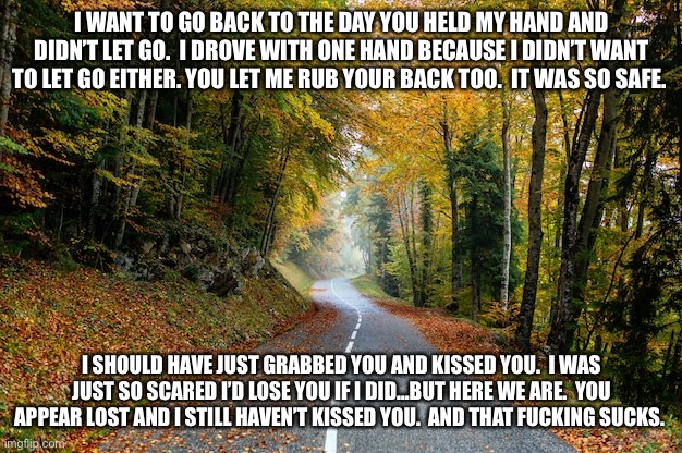 I WANT TO GO BACK TO THE DAY YOU HELD MY HAND AND DIDN’T LET GO.  I DROVE WITH ONE HAND BECAUSE I DIDN’T WANT TO LET GO EITHER. YOU LET ME RUB YOUR BACK TOO.  IT WAS SO SAFE. I SHOULD HAVE JUST GRABBED YOU AND KISSED YOU.  I WAS JUST SO SCARED I’D LOSE YOU IF I DID…BUT HERE WE ARE.  YOU APPEAR LOST AND I STILL HAVEN’T KISSED YOU.  AND THAT FUCKING SUCKS. | made w/ Imgflip meme maker