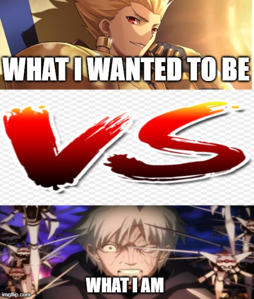 What i wanted vs what i am | WHAT I WANTED TO BE; WHAT I AM | image tagged in fate/stay night,anime | made w/ Imgflip meme maker