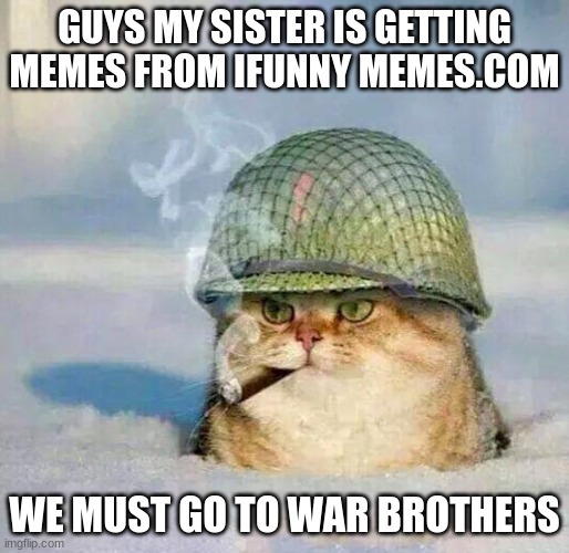 WAR | GUYS MY SISTER IS GETTING MEMES FROM IFUNNY MEMES.COM; WE MUST GO TO WAR BROTHERS | image tagged in war cat | made w/ Imgflip meme maker