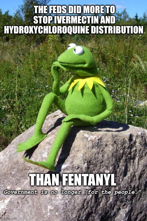 Government works for itself only, not for the people. | THE FEDS DID MORE TO STOP IVERMECTIN AND HYDROXYCHLOROQUINE DISTRIBUTION; THAN FENTANYL; Government is no longer “for the people.” | image tagged in kermit-thinking | made w/ Imgflip meme maker