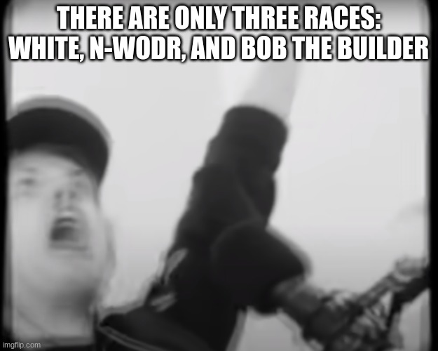 Roomie scream | THERE ARE ONLY THREE RACES: WHITE, N-WODR, AND BOB THE BUILDER | image tagged in roomie scream | made w/ Imgflip meme maker