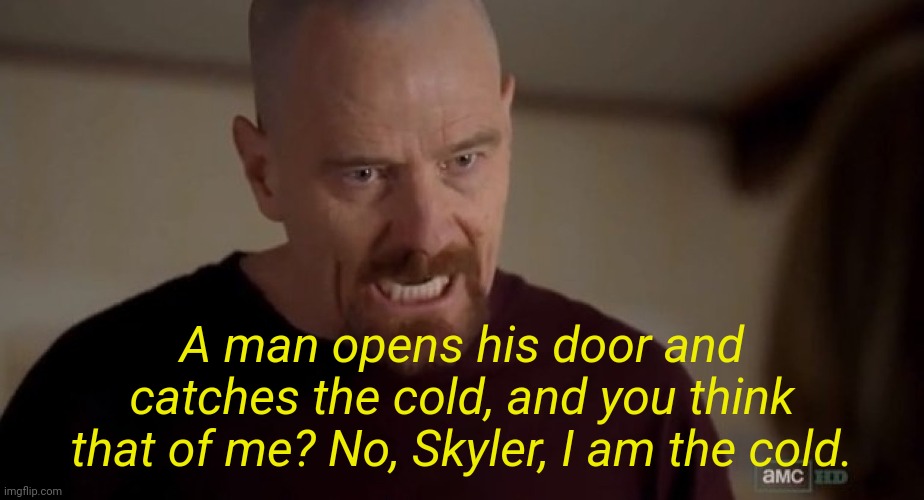 . | A man opens his door and catches the cold, and you think that of me? No, Skyler, I am the cold. | image tagged in i am the one who knocks | made w/ Imgflip meme maker